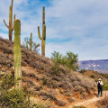 The Importance of Designated Smoking Areas at Annual Events in Central Arizona