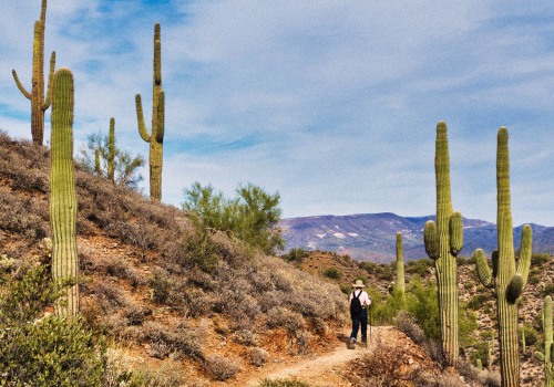 The Importance of Designated Smoking Areas at Annual Events in Central Arizona